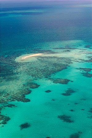Print Grande Barreira de Corais Australia 1