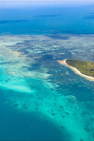 Print Grande Barreira de Corais Australia 3