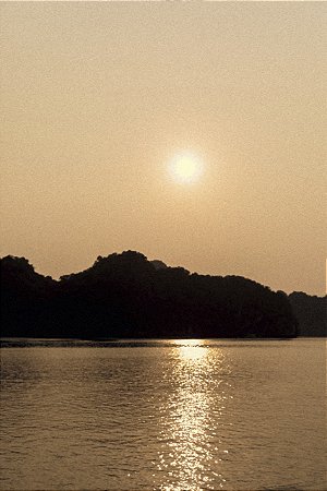 Print Vietnam 8