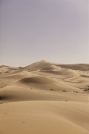 Print Deserto Sahara 11