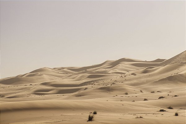 Print Deserto Sahara 12