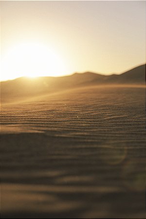 Print Deserto Sahara 1