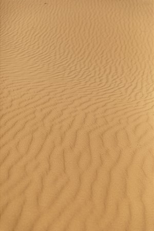 Print Deserto Sahara 2