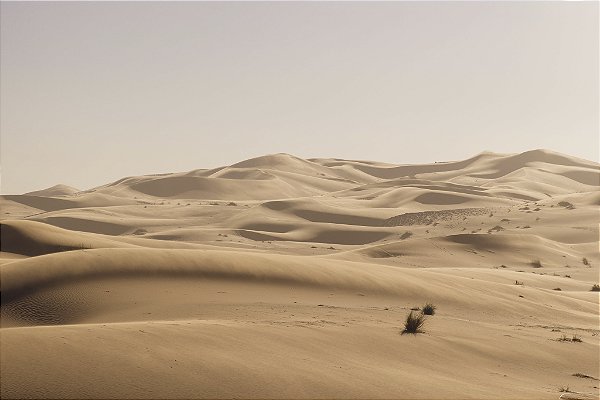 Print Deserto Sahara 4