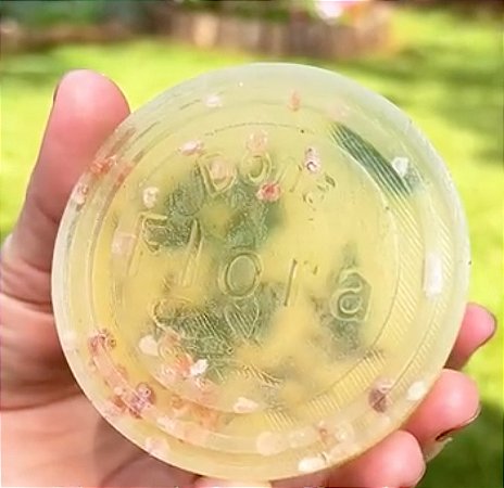 SABONETE VEGANO - ARRUDA, ALECRIM E SAL GROSSO 100g