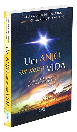 Um Anjo em Nossa Vida