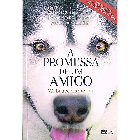 Promessa De Um Amigo
