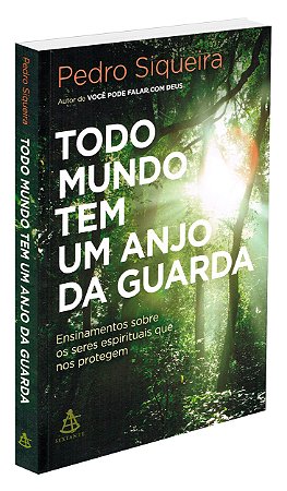 Todo Mundo Tem Um Anjo da Guarda