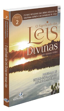 O Significado das Leis Divinas em Nossas Vidas - Estudos reflexivos - Vol. 2