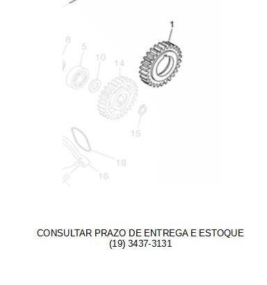 ENGRENAGEM MOTORA DA BOMBA DE AGUA XT 660R 2005 ATE 2018  ORIGINAL YAMAHA (CONSULTAR PRAZO DE ENTREGA E ESTOQUE)