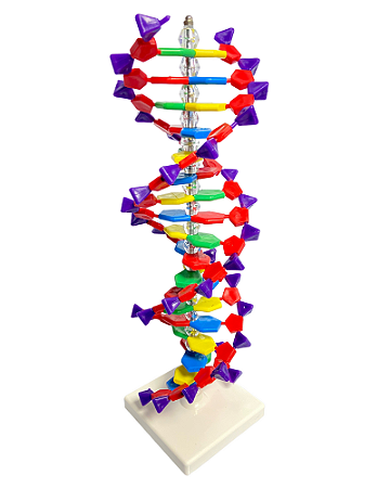 Dupla hélice de DNA