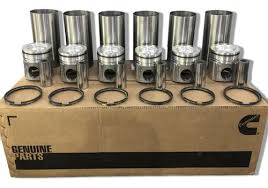 JOGO MAXI FORCA SÉRIE C	3357574