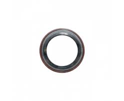 RETENTOR DO INJETOR	3909886