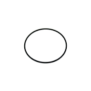 ANEL DE VEDACAO	3926047