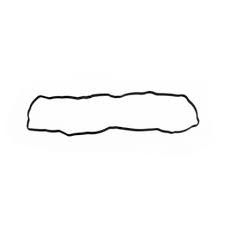 JUNTA DA TAMPA DE VALVULAS	4899228