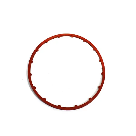 ANEL DE VEDACAO RETANGULAR	5307960