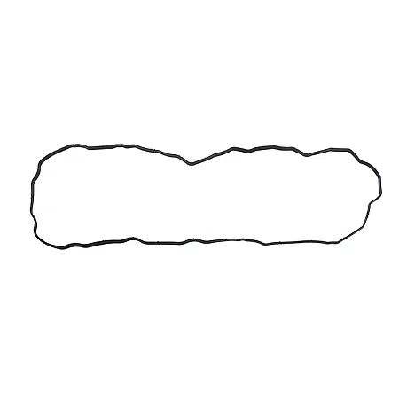 JUNTA DA TAMPA DE VALVULAS	5309255