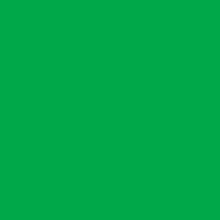 Folha EVA Liso OUTLET 2ª Linha 40x60cm Verde Natal