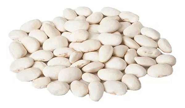 FAVA AGROECOLÓGICA BRANCA 500G