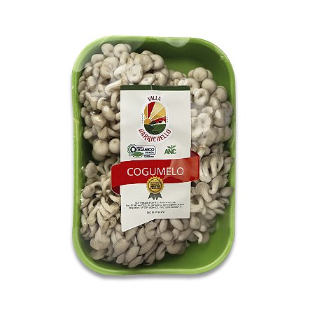 Cogumelo Shimeji Branco Orgânico - 200g
