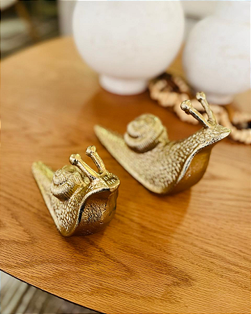 Caracol decorativo