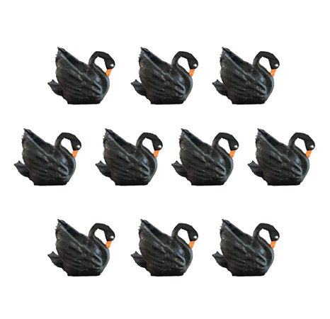 Kit 10 mini Cisne Negro Maquetes, Mini Mundos, Terrário