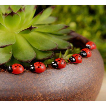 20 Mini Joaninhas para terrários ou mini jardins de suculentas e cactos