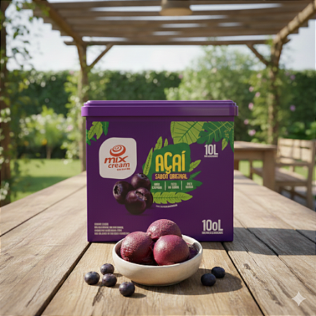 CAIXA AÇAÍ 10L