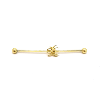 Transversal Dourado Aranha