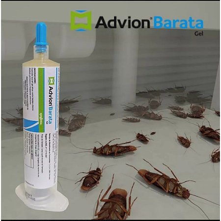 Advion Gel Baratas