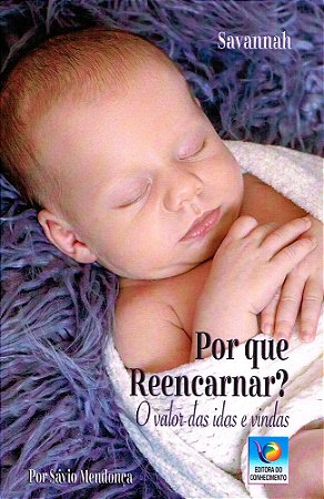 Por que Reencarnar?: O Valor das Idas e Vindas