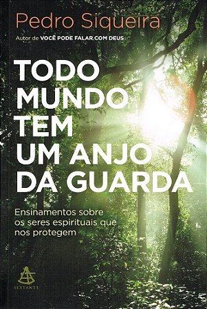 Todo Mundo Tem Um Anjo da Guarda - Ensinamentos Sobre os Seres Espirituais que nos Protejem