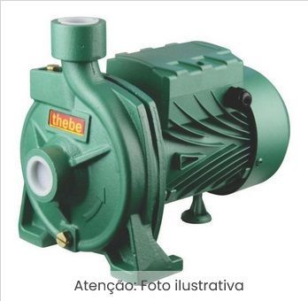 BOMBA   1/2CV - B-10 M FC RT BR VITON 127/220V THEBE