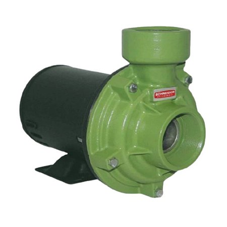 BOMBA  1,5CV - BC-92S R 2.1/2  M 127/254 SCHNEIDER 220V