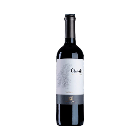 Perez Cruz Chaski Petit Verdot 2021