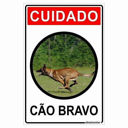 Placa cuidado cão bravo pastor belga malinois