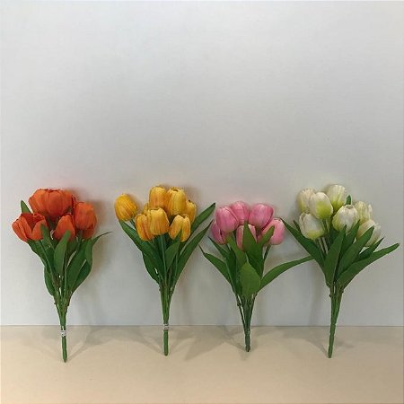 BUQUE TULIPAS