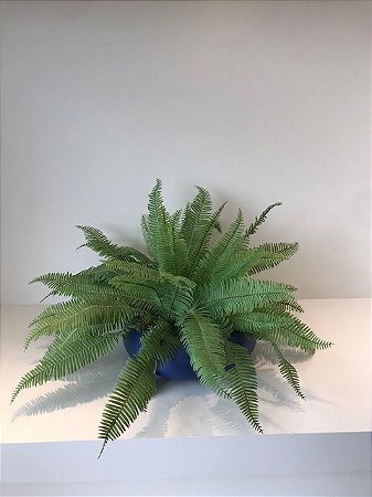 ARRANJO DE SAMAMBAIA EM VASO DE CERAMICA AZUL FOSCO