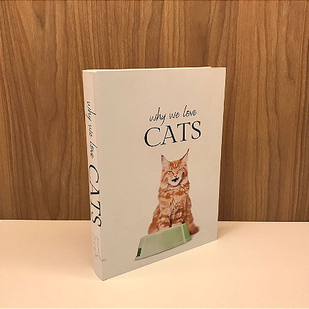 CAIXA LIVRO  CATS GRANDE