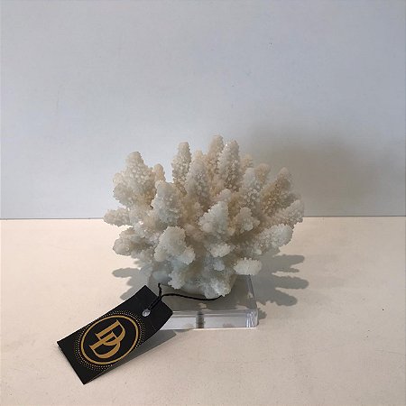 ESCULTURA DECORATIVA ALGA/CORAL  BRANCO - PEQUENO.