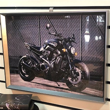 QUADRO COM VIDRO -HARLEY CINZA 50X70CM