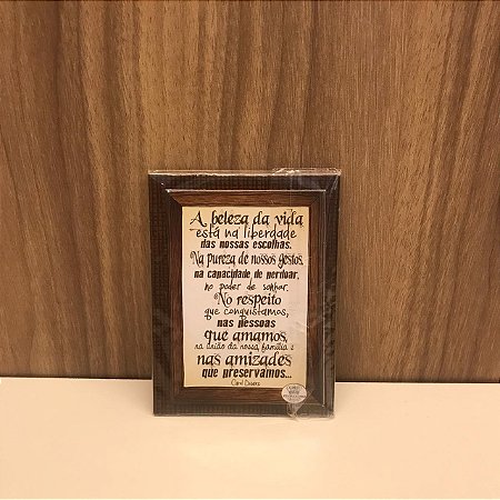 PLAQUINHA IMÃ -  A BELEZA DA VIDA ESTÁ NA LIBERDADE...