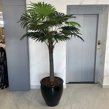 ARRANJO DE CHÃO PALMEIRA E VASO DE FIBRA REDONDO PRETO 2,00MX1,20M