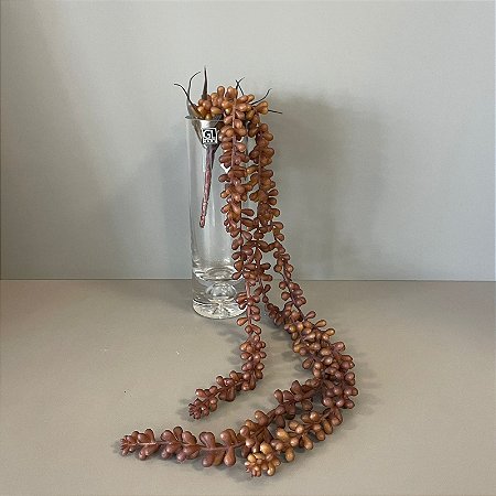 PENDENTE SUCULENTA 72CM
