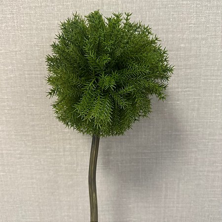 FOLHA ASPARGO VERDE ESCURO