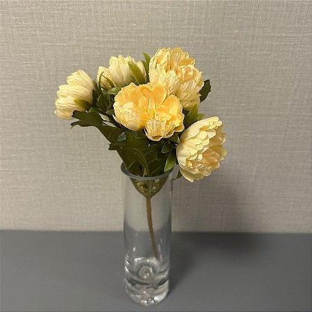BQ PEONIA X5 AMARELO