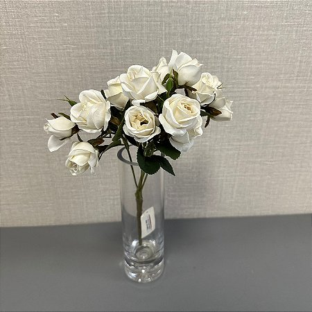 BQ . ROSA BRANCA