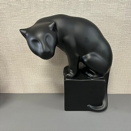 PANTERA SENTADO NA BASE PRETO FOSCO