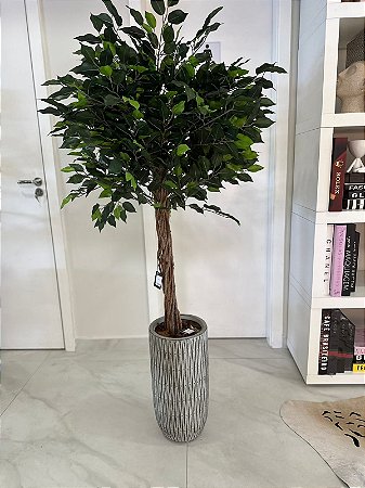 VASO DE CHAO EM CIMENTO P - PLANTA FICUS