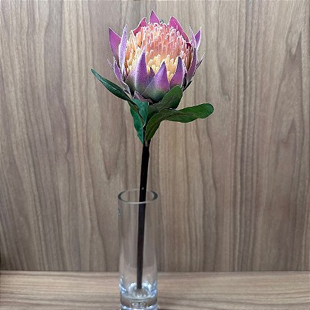 Haste Protea 43cm
